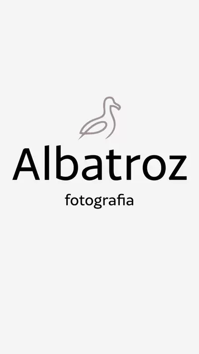 Albatroz Fotografia